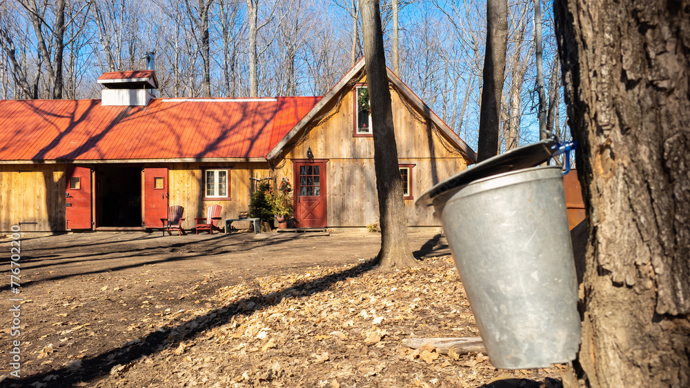 Sugar shack in a Quebec maple grove on a beautiful spring day Sugar shack in a Quebec maple grove on a beautiful spring day