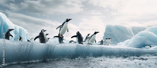 A group of penguins jump from a blue iceberg into the ocean