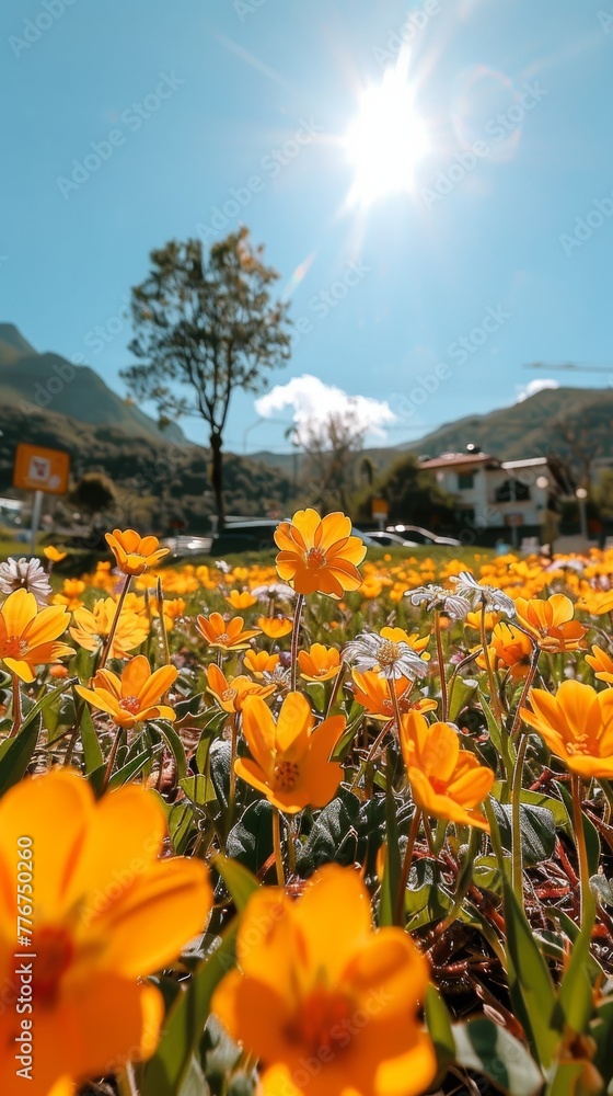 Fototapeta premium Golden Wildflowers Basking in Sunlight with a Majestic Mountain Landscape in the Background, a Scene of Serene Natural Beauty