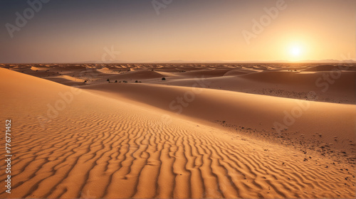 Sahara Serenity  Tranquil Desert Exploration