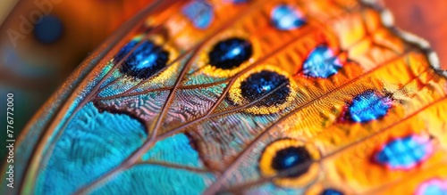 Vibrant Intricacy A Macro Shot Exploring the Patterns of a Butterflys Wing photo