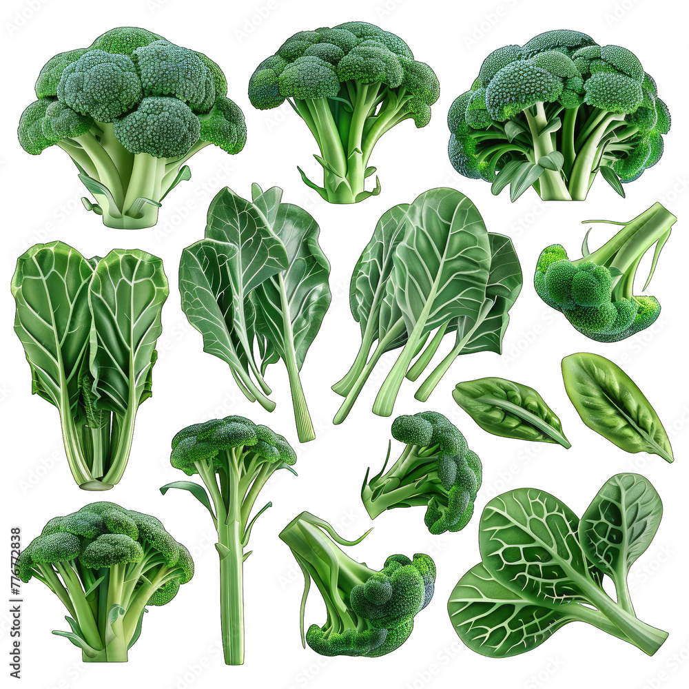 Fresh and Vibrant Chinese Broccoli Gai Lan Illustration on White Background - High-Quality 3D Clipart Perfect for Print Projects Fresh and Vibrant Chinese Broccoli Gai Lan Illustration on White Background - High-Quality 3D Clipart Perfect for Print Projects