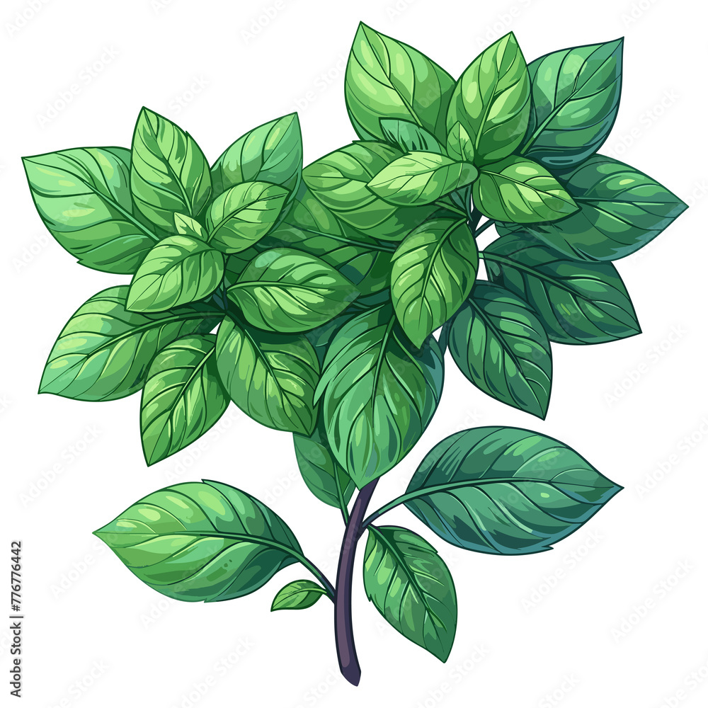 Five-Leaf Akebia Flat Colors Cartoon Icon, Isolated Transparent Background Images Five-Leaf Akebia Flat Colors Cartoon Icon, Isolated Transparent Background Images