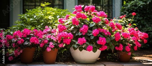 Wallpaper Mural Numerous pink blossoms are in a pristine pot placed on the staircase Torontodigital.ca