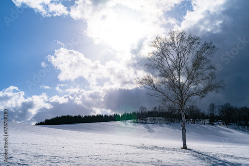 冬の畑と太陽の雪景色の中の一本の木 © syu