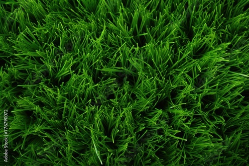 a close up of grass #776790072