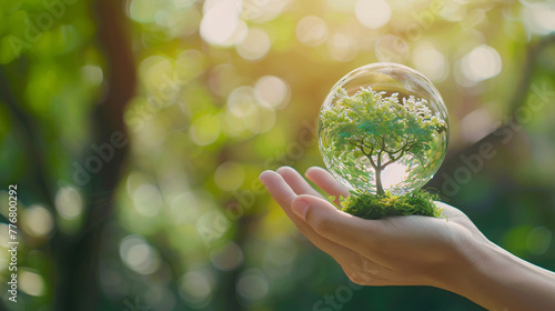 human hand holding tree crystal ball inside under sunlight blur background copy space for banner