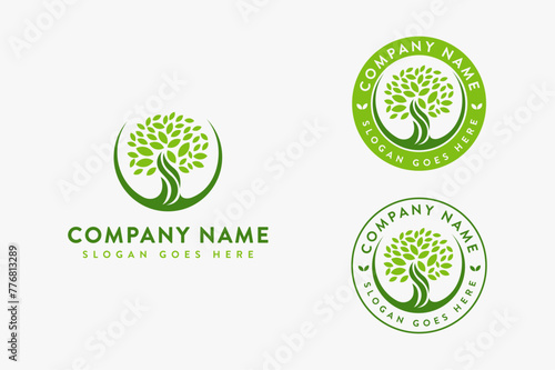 Minimalist elegant oak tree logo / old tree logo / tree of life logo icon vector template on white background
