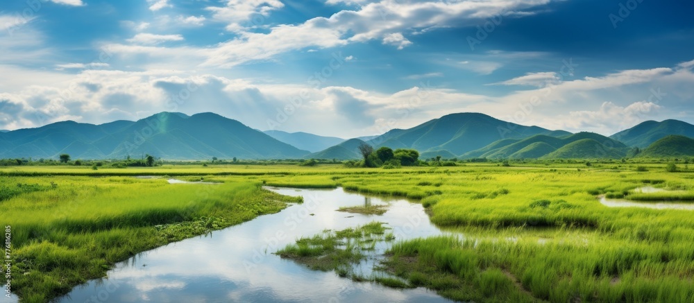 The tranquil river winds its way through the lush, green field, creating a picturesque scene of natural beauty The tranquil river winds its way through the lush, green field, creating a picturesque scene of natural beauty