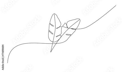leaf of plant one line drawing. Vector illustration in continuous line style. © alpha