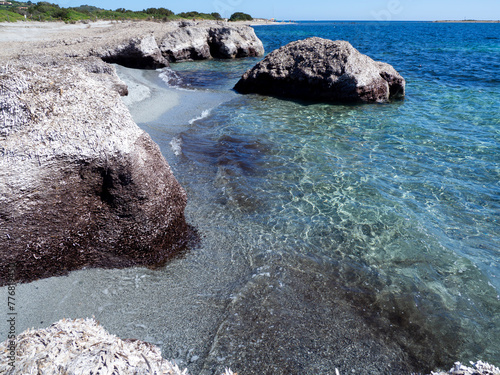 Dried seaweed Posidonia oceanica, forming banks on sand in a beach in Sardinia, Italy. Natural sustainable ecosystem. General contest