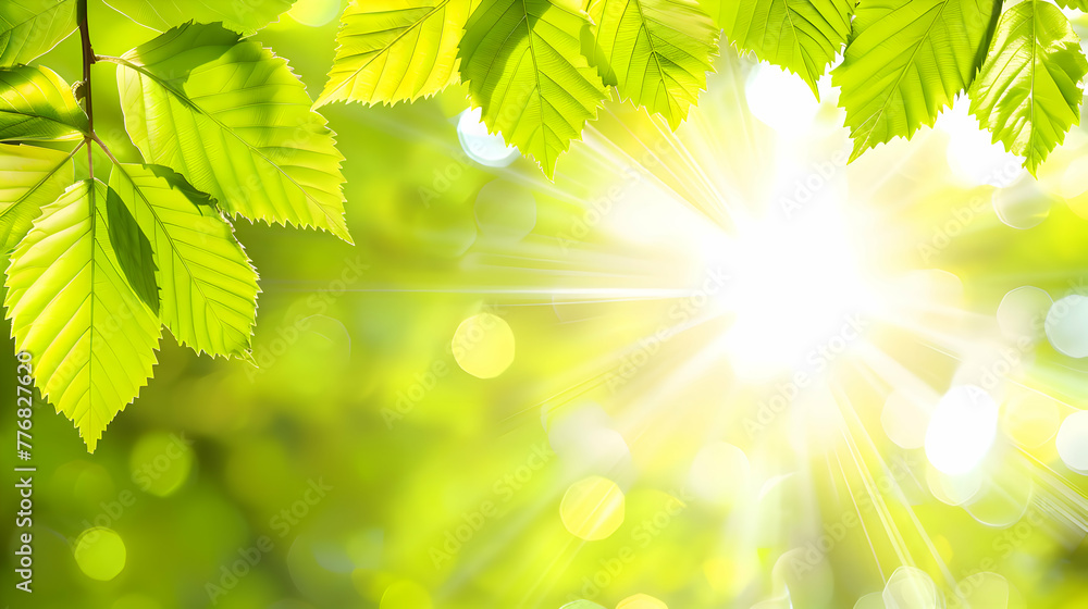 natural / leafy frame. space for copy. background, natural, leaves, botanical, border, nature natural / leafy frame. space for copy. background, natural, leaves, botanical, border, nature
