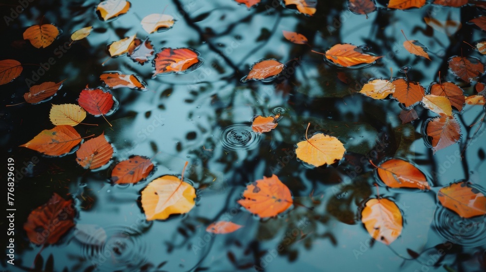 A collection of leaves suspended on the surface of a body of water, drifting together in a cohesive cluster. A collection of leaves suspended on the surface of a body of water, drifting together in a cohesive cluster.