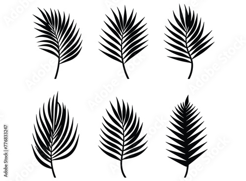 Palm banana leaf silhouette vector.