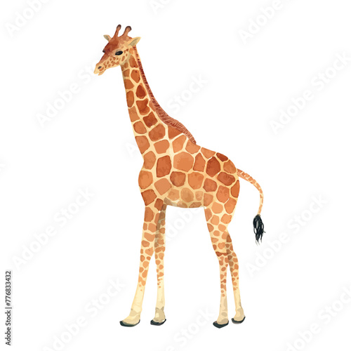 水彩で描いた手書きのキリンのカットイラスト