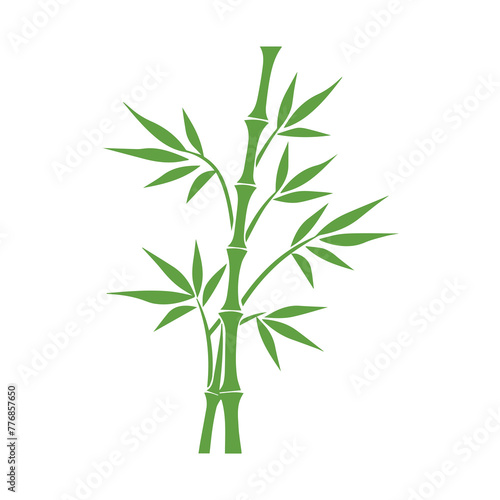 Bamboo leaves icon over white background  silhouette style  vector illustration