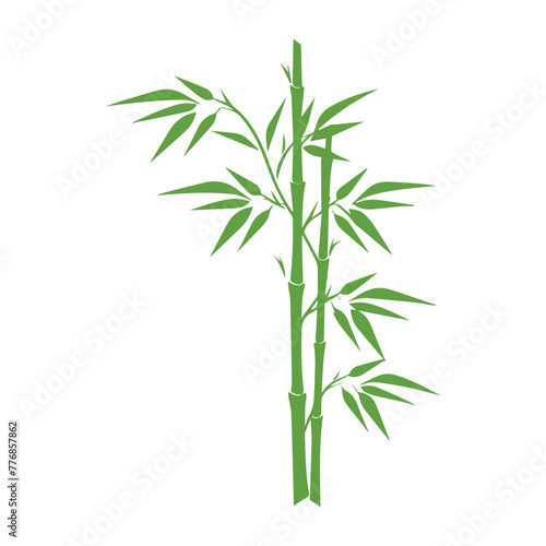 Bamboo leaves icon over white background  silhouette style  vector illustration