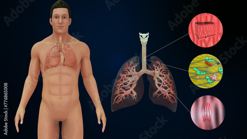 Принти на полотні Types of tissues in Trachea 3d illustrator