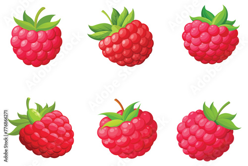 Fresh bright raspberry vector illustration