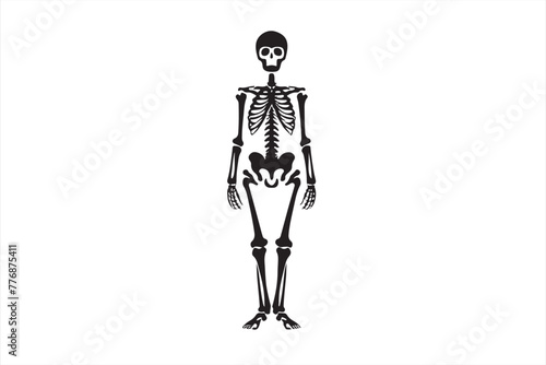 skeleton in front of a background