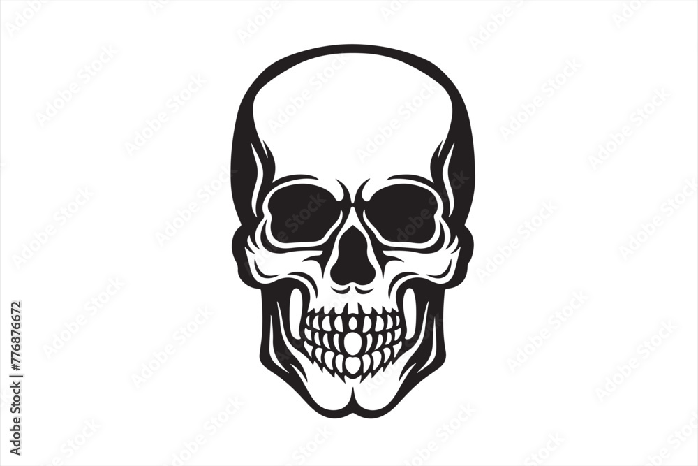skull on white background skull on white background