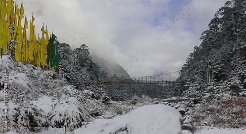 frosty cold winter at yumthang valley, buddhist prayer flags flying in the valley, surrounded by himalaya mountains and forest, north sikkim in india photo