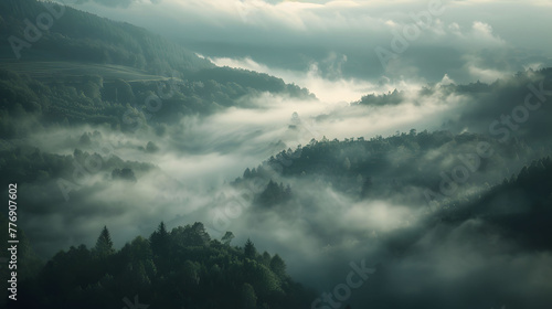 A valley where the fog moves like living creatures, shaping stories as it flows.