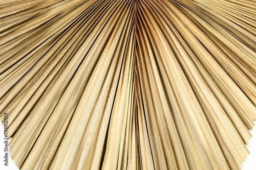 Top view of dried palm leaf. Tropical plant leaf, flat lay, copy space.