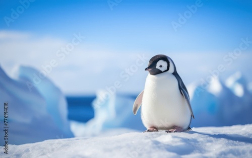 Adorable penguin on icy Antarctic landscape © Muh