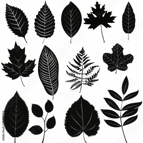 Clip art illustration with various types of leaf black color on a white background. 
