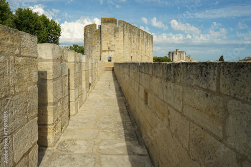 Obraz na płótnie Aigues Mortes medieval ramparts panoramic walk, popular tourist attraction in Aigues Mortes, France w salonie