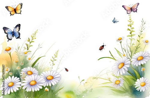 Background with daisies, grass, butterflies. Summer background with flowers and space for text. Watercolor