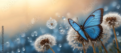 Natural pastel background. Morpho butterfly and dandelion. Seeds of a dandelion flower on a background of blue sky with clouds.  generative by ai.. photo