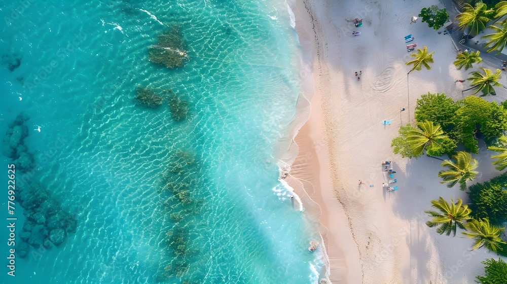 Aerial Paradise: Tropical Beach Tranquility from High Above