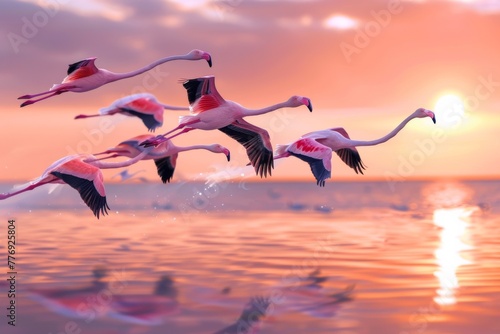 Graceful Flamingos Flying at Dawn over Sea. 