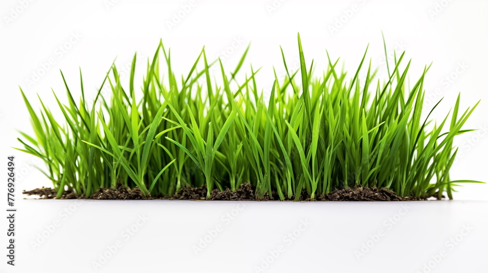 Green grass isolated on white background : Plant. AI Generative. Green grass isolated on white background : Plant. AI Generative.