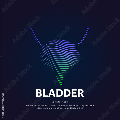 Human bladder medical structure. Vector logo bladder color silhouette on a dark background. Urinary tract logo vector template suitable for organization, company, or community. EPS 10