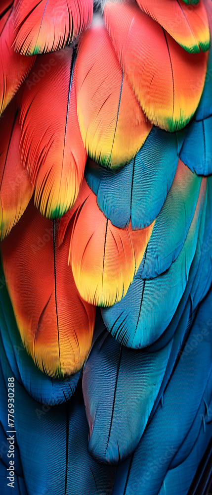 illustration focusing on the vibrant feathers of a bird in extreme closeup illustration focusing on the vibrant feathers of a bird in extreme closeup