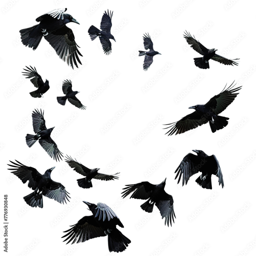 Obraz premium birds in flight