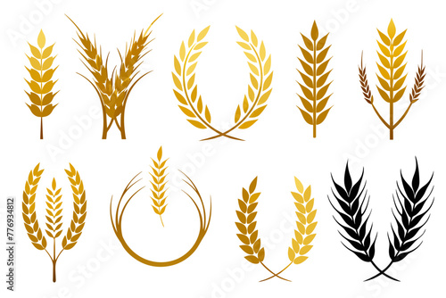 Exquisite silhouette of golden wheat. A collection of meticulously crafted corn vector symbols, elegantly isolated on a pristine white background