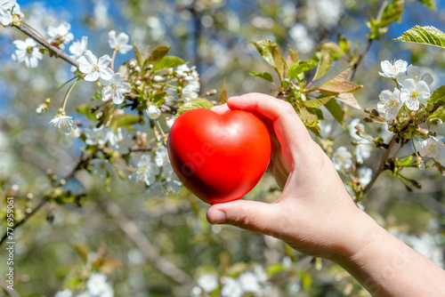 Girl holding a heart on a background of appletree blossoms 