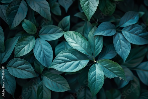 Green Macro leaves background, vintage tone
