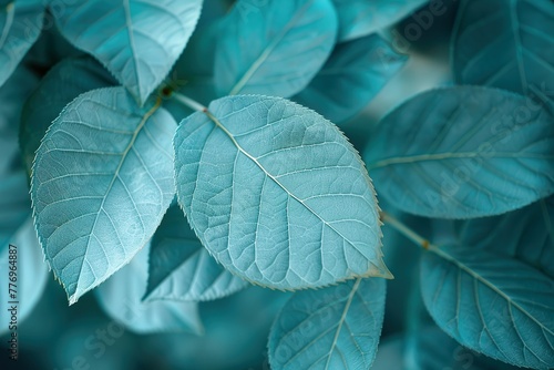 toxic green macro leaves background, vintage tone