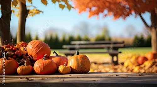 bench november pumpkin background
