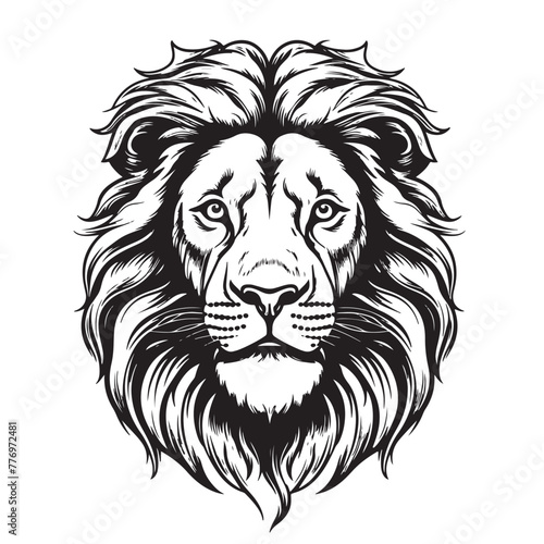 Lion. Sketchy  graphical  black and white portrait of a lion head on a white background.