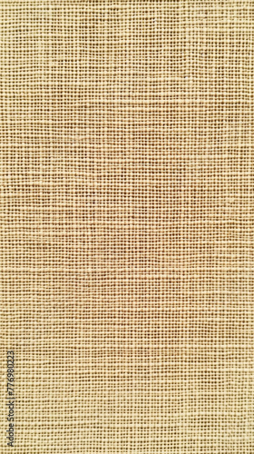 look of a small beige cloth fabric, in the style of use of screen tones, clean line work, unprimed canvas, woven/perforated