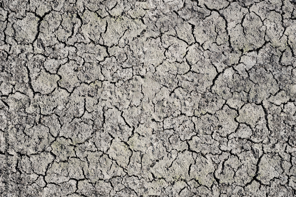 Parched land, dry cracked earth, arid soil, dry cracked earth texture, cracked earth, desert, global warming Parched land, dry cracked earth, arid soil, dry cracked earth texture, cracked earth, desert, global warming