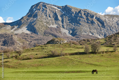 Horse in a green valley. Castilla y Leon mountain landscape