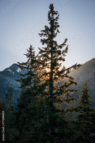 Lake Crescent at Olympic National Park in Clallam County, Washington photo