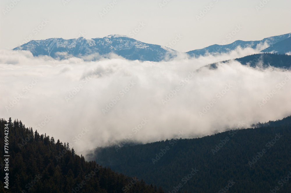 Hurricane Ridge in Olympic National Park, Mountain in Washington State Hurricane Ridge in Olympic National Park, Mountain in Washington State